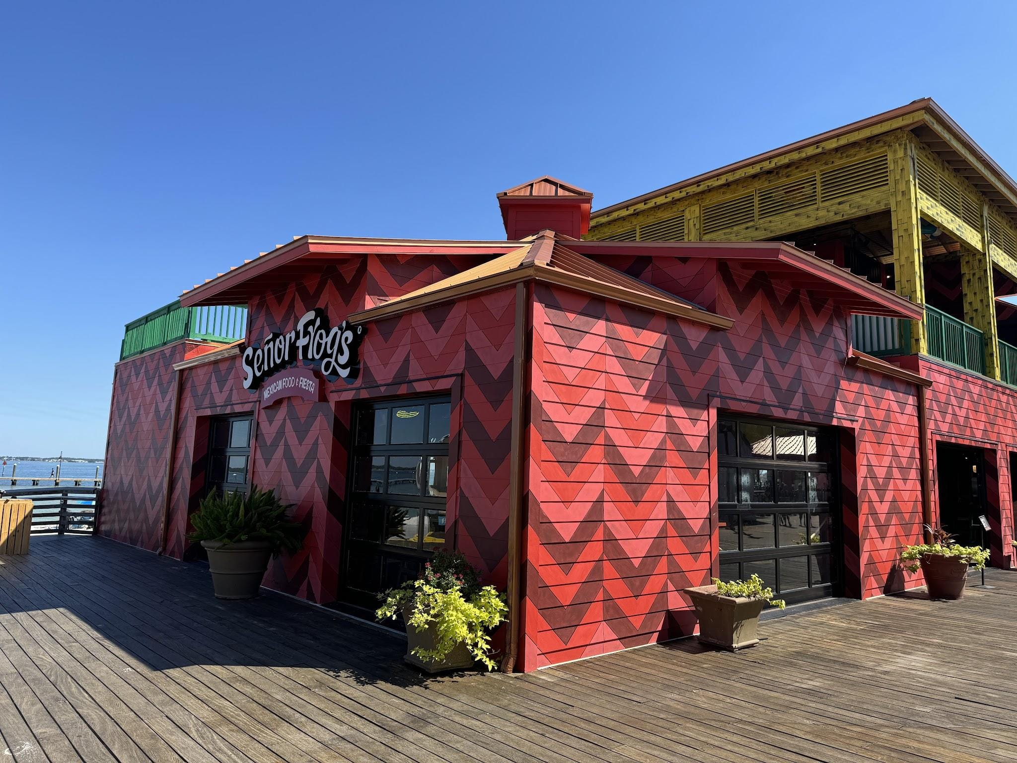 Señor Frog's Pensacola Beach | Mexican Restaurant & Fiesta image